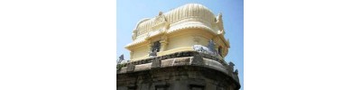 திருப்புலிவனம்